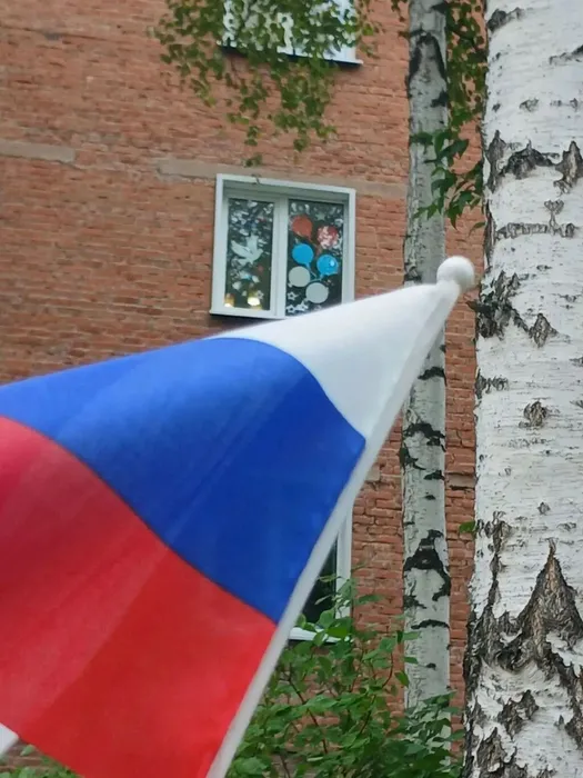 окна3