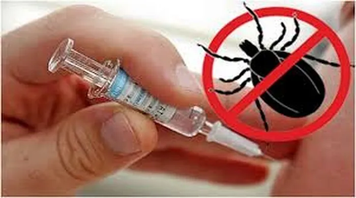 Без названия (1)